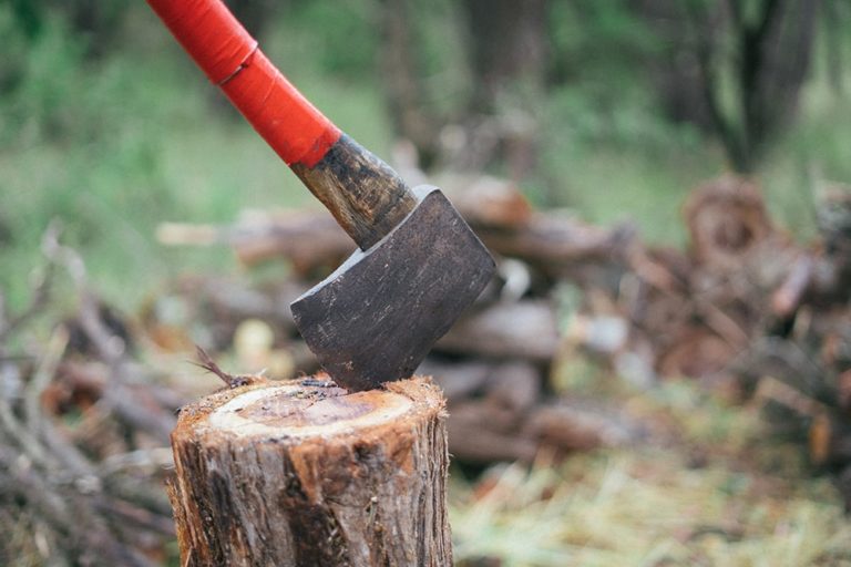 The Best Axe For Hiking and Camping